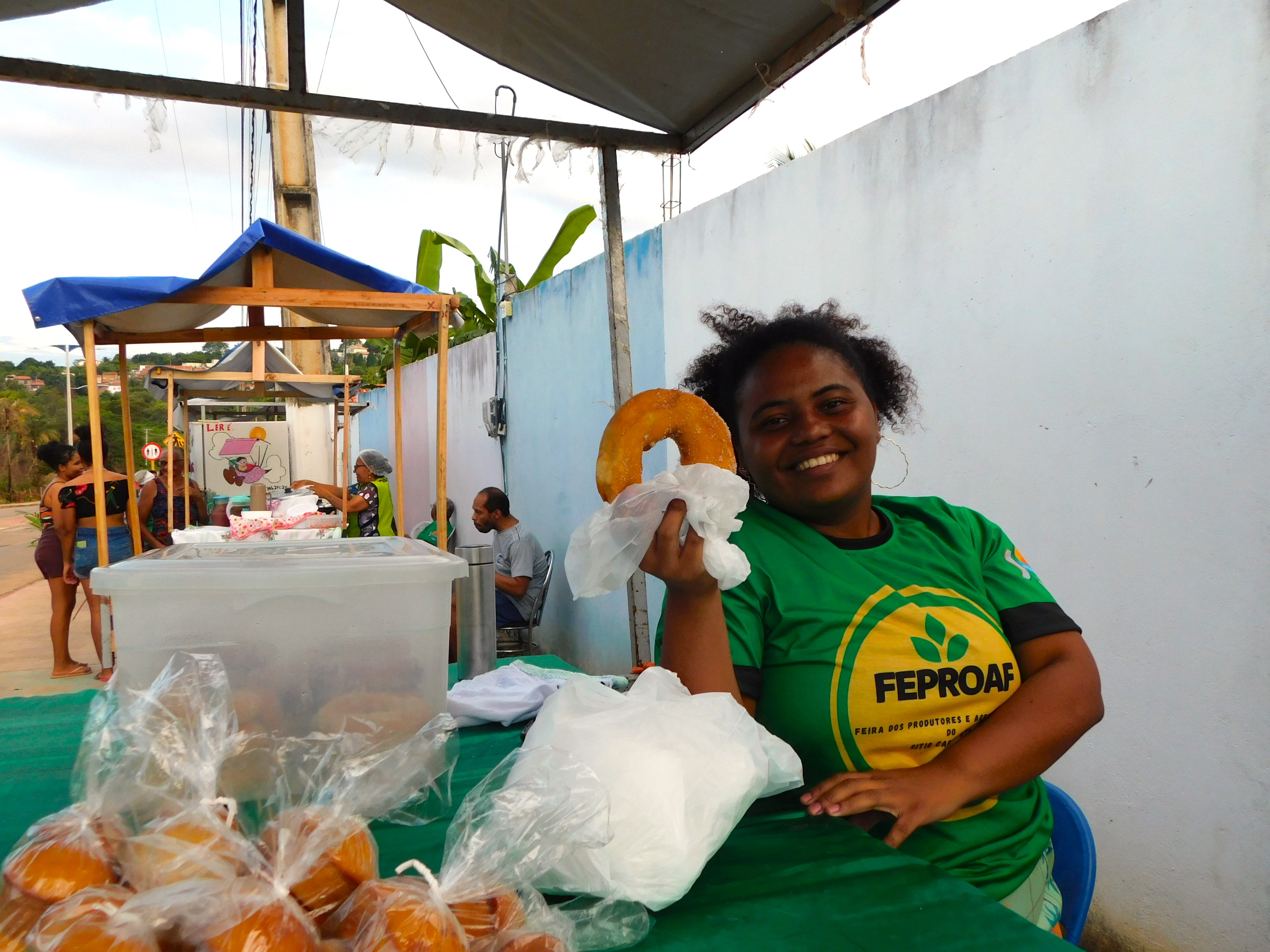  carrapatocultural.com 